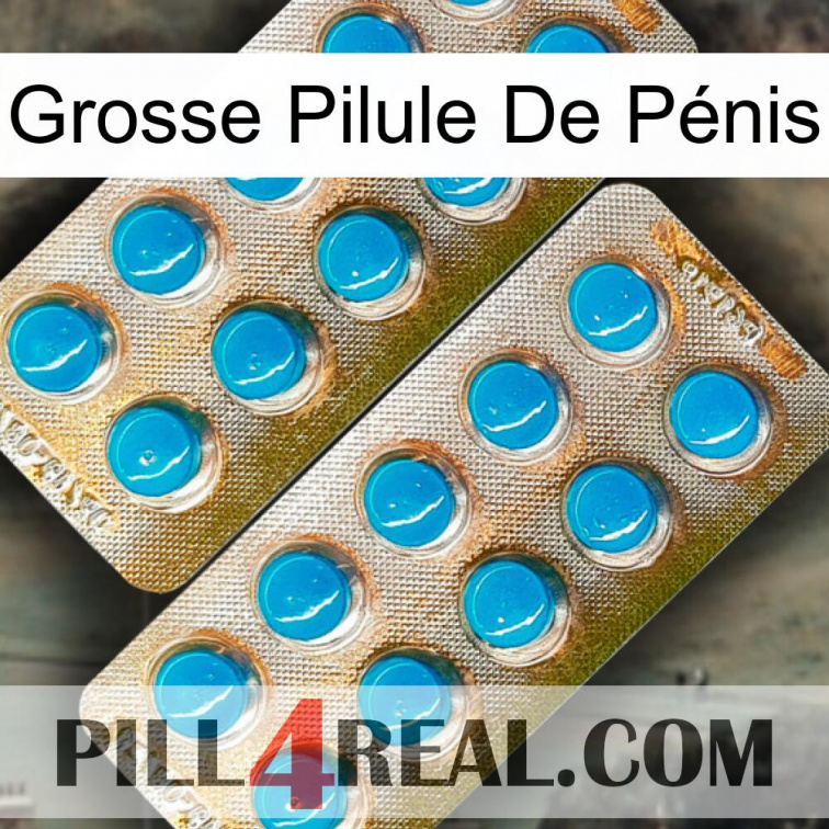 Grosse Pilule De Pénis new08